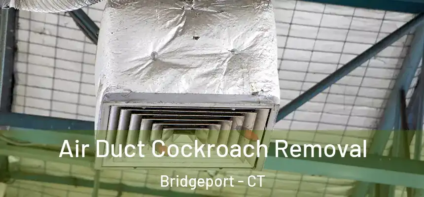 Air Duct Cockroach Removal Bridgeport - CT