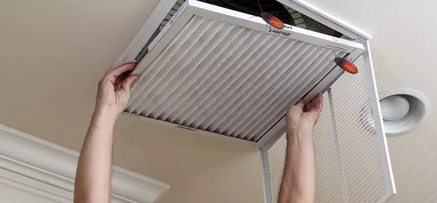 Preventive Cockroach-Proofing for Ducts in Bridgeport