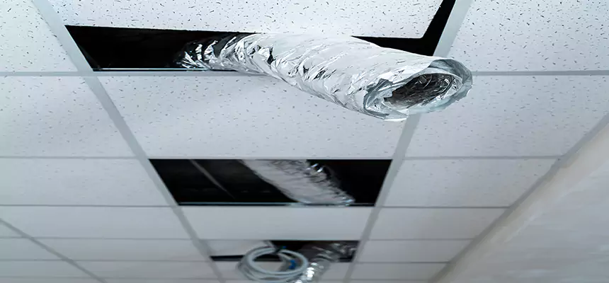 Our Air Duct Pet Hair Removal Services in Bridgeport, CT