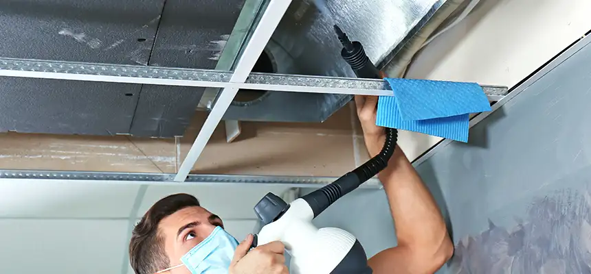 Our Air Duct Rodent Removal Services in Bridgeport, CT