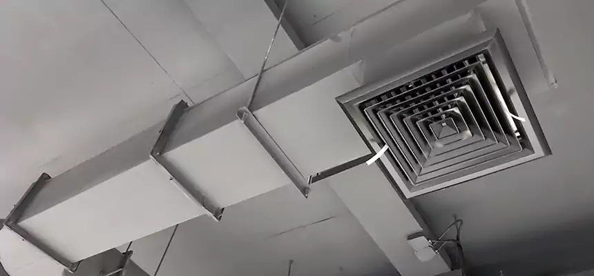 Our Pest Removal From Ducts Services in Bridgeport, CT