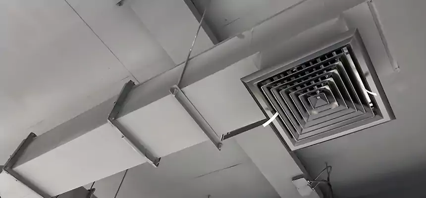 Our Rodent Droppings In Vents Services in Bridgeport, CT