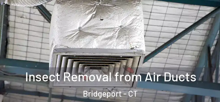 Insect Removal from Air Ducts Bridgeport - CT