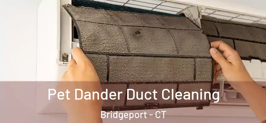 Pet Dander Duct Cleaning Bridgeport - CT