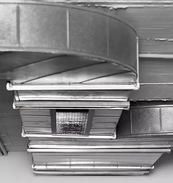 Professional Air Duct Pest Removal in Bridgeport, CT