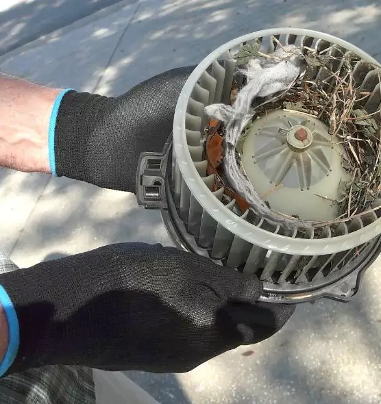 About Air Duct Rat Removal in Bridgeport, CT