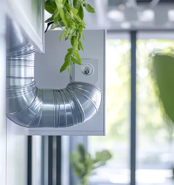 Professional Eco-Safe Dryer Vent Cleaning in Bridgeport, CT