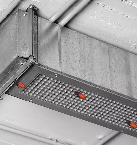 Affordable Insect Removal from Air Ducts in Bridgeport, CT