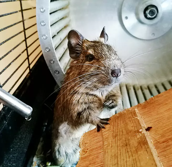 Why Homeowners & Businesses Trust Us Bridgeport, CT