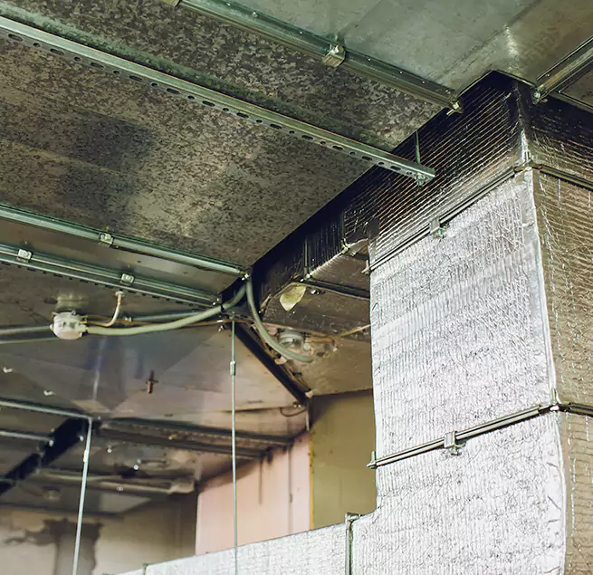 Why Homeowners & Businesses Trust Us in Bridgeport, CT?